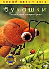Букашки: Открытия каждый день